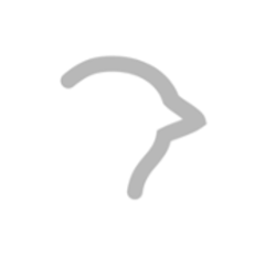 Picture of Neural control of vocal interaction in zebra finches