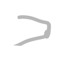 Picture of Neural circuits for antiphonal calling in the naked mole-rat